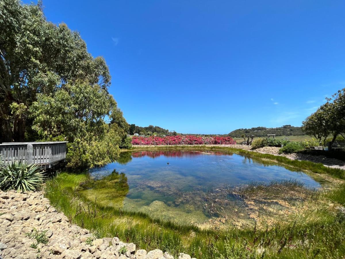 Daysy Hill Country Cottages Port Campbell Esterno foto