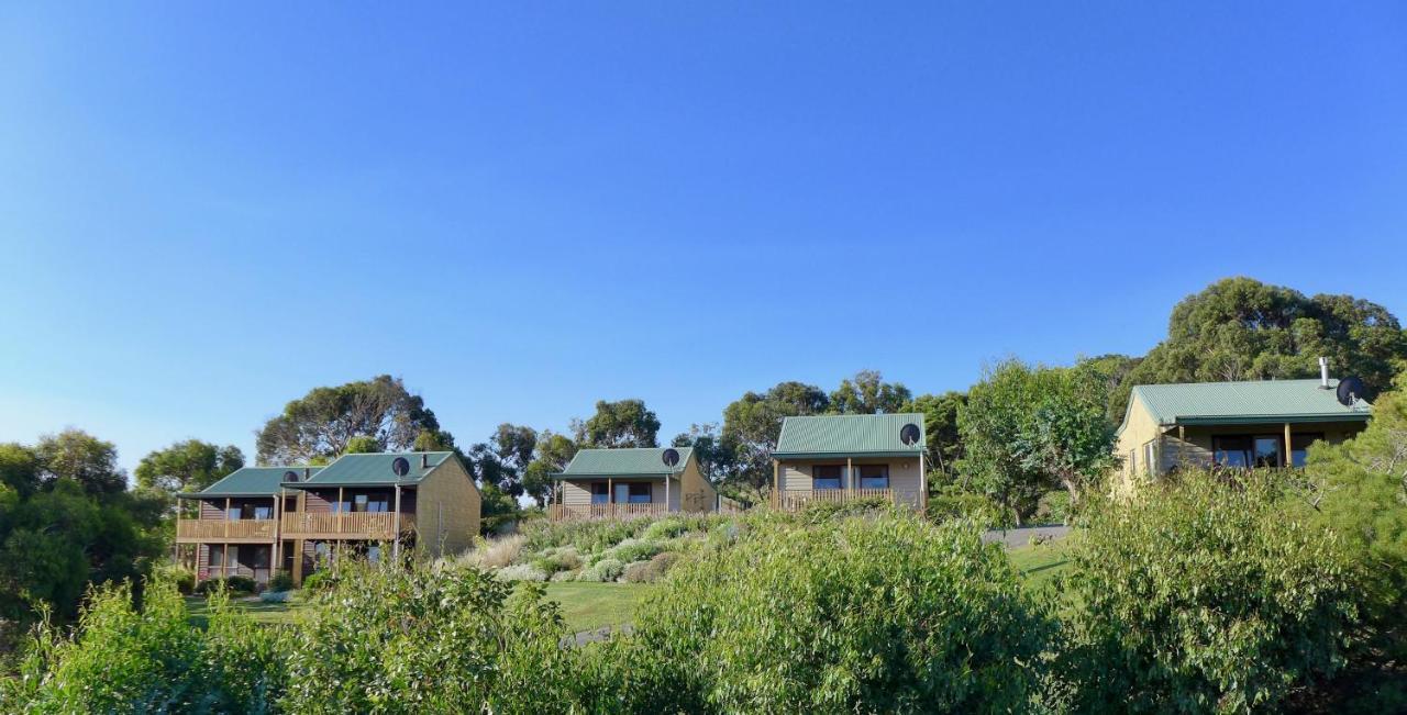 Daysy Hill Country Cottages Port Campbell Esterno foto