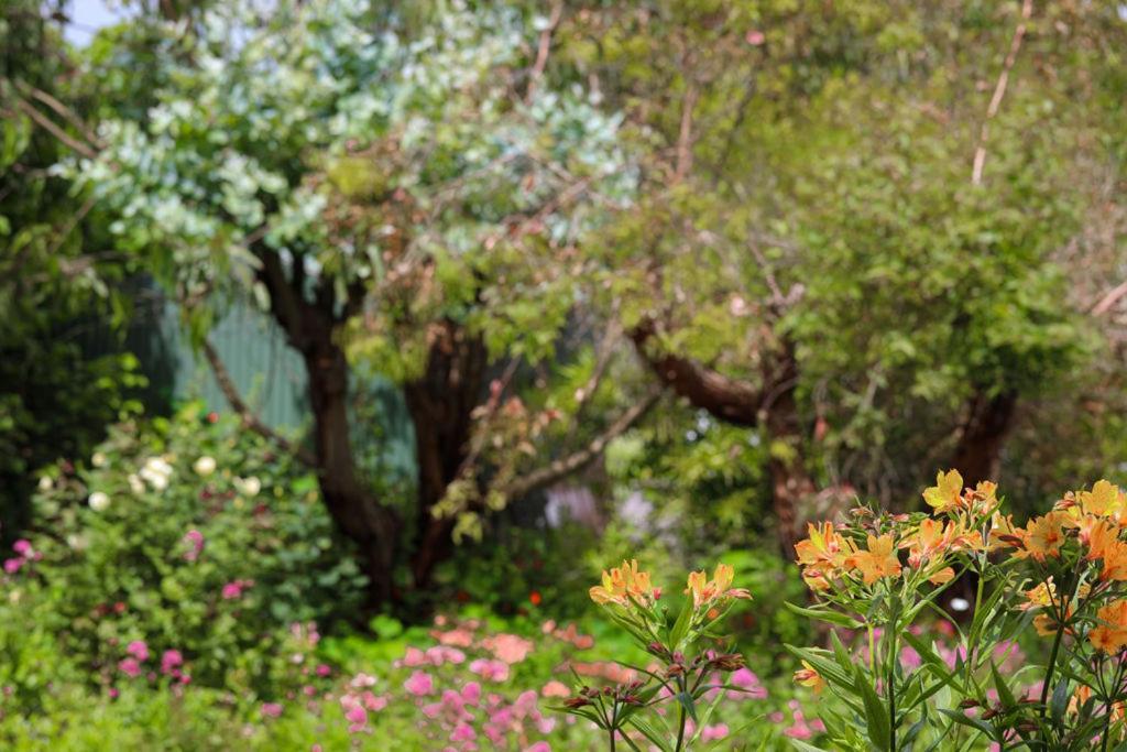 Daysy Hill Country Cottages Port Campbell Esterno foto