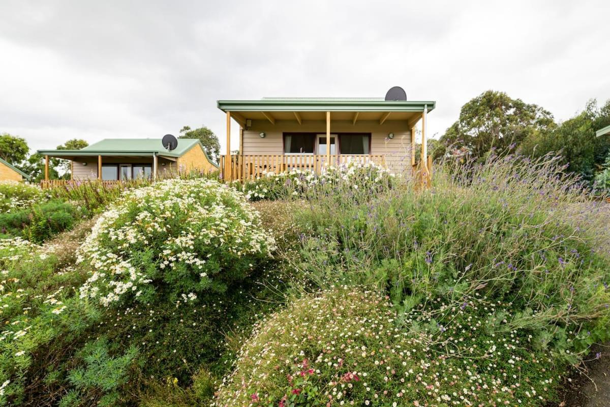 Daysy Hill Country Cottages Port Campbell Esterno foto
