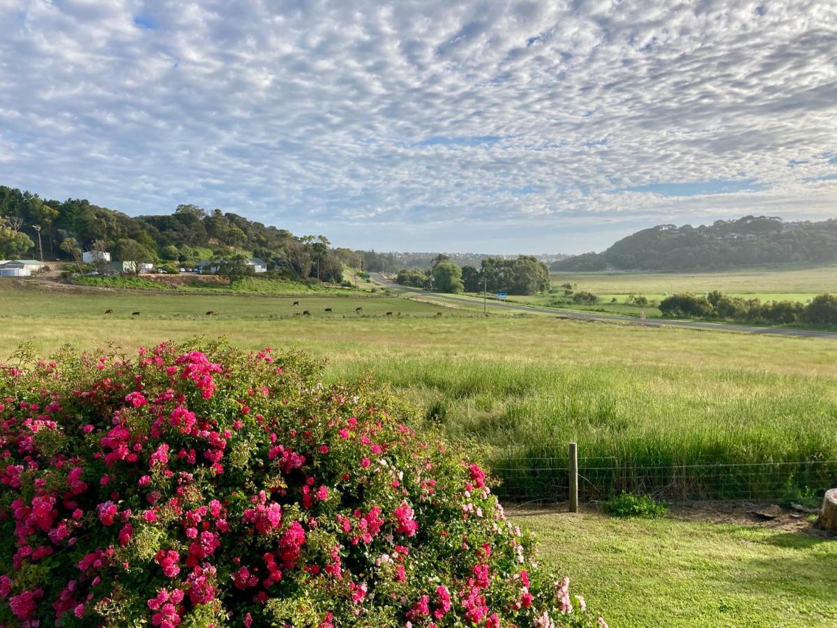 Daysy Hill Country Cottages Port Campbell Esterno foto